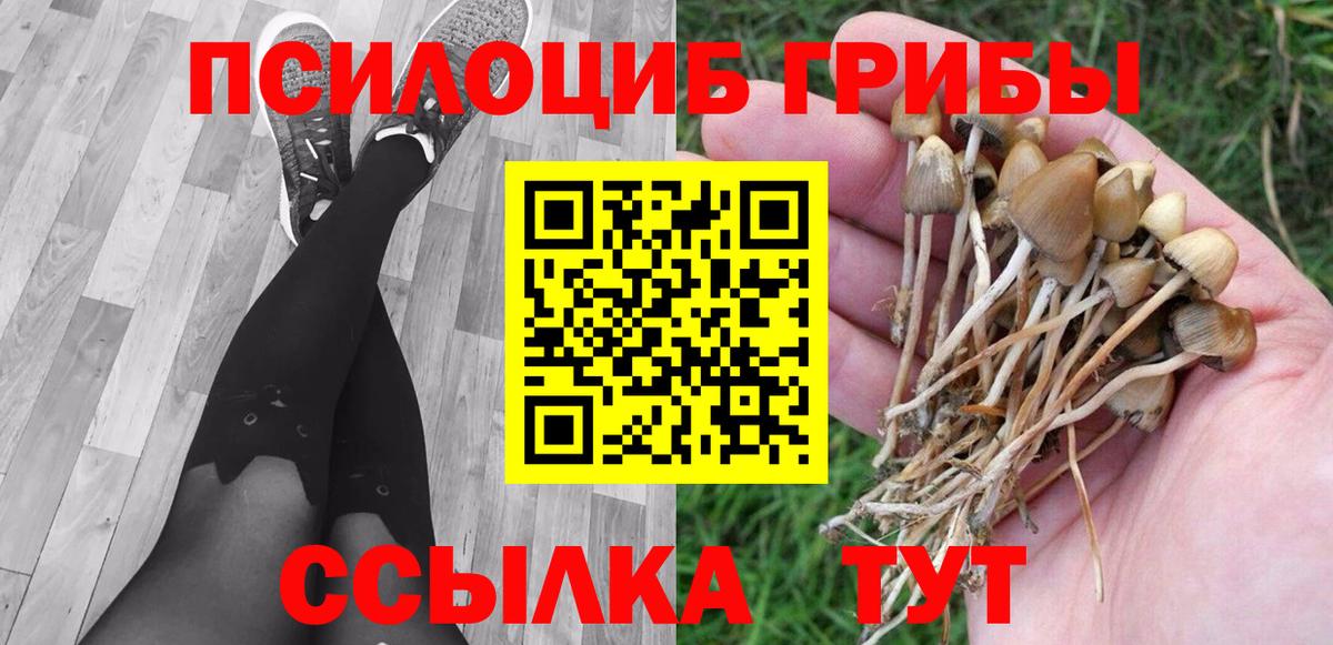 Псилоцибиновые грибы Magic Shrooms Саратов