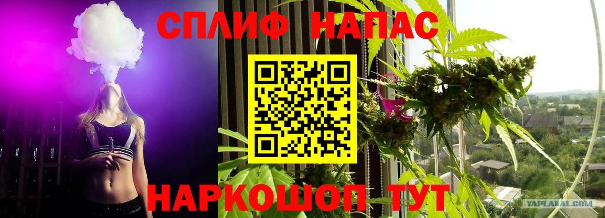 Шишки марихуана семена Саратов